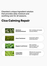 A promotional graphic for Cica Calming Repair by Cleardea, featuring text and four ingredient panels: Medicinal Buckwheat Extract, Green Tea Extract, Mugwort Leaf Extract, and Lemon Balm Leaf Extract, on a light gray background.