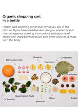 Illustration of organic ingredients with labels on a white background