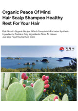 Advertisement for Organic Peace of Mind Hair Scalp Shampoo with a scenic image and cactus plant.