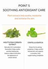 Houttuynia cordata and centella asiatica extracts in BLANC DUBU sunscreen
