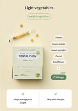 Diagram showing the stages of tartar buildup on teeth with text about dental health.