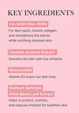 List of key ingredients for skincare with a pink background