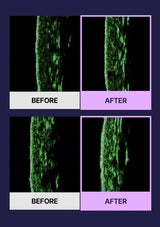 Before and after comparison of a green-stained sample under a microscope.