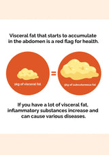 Diagram comparing visceral fat and subcutaneous fat with text about health implications.