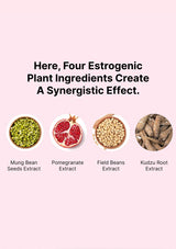 Four estrogenic plant ingredients with their names on a pink background