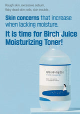 Bottle of Birch Juice Moisturizing Toner with text on a blue background