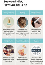 Promotional graphic about seaweed mist with features and benefits listed.