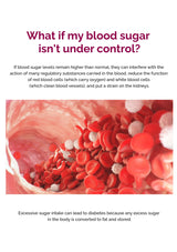 Blood vessels with red blood cells and text about blood sugar control