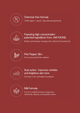 Product features on a red background with icons and text.