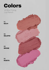 Four swatches of lip pencil colors on a gray background with labels.