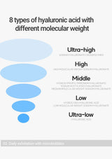 Diagram of 8 types of hyaluronic acid with different molecular weights on a white background.
