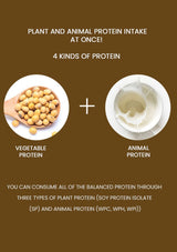 The pouches are pink, green, yellow, and red, representing different flavors.