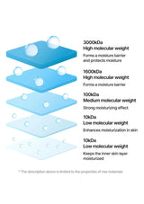 Diagram of different molecular weight levels with corresponding skin benefits on a white background.