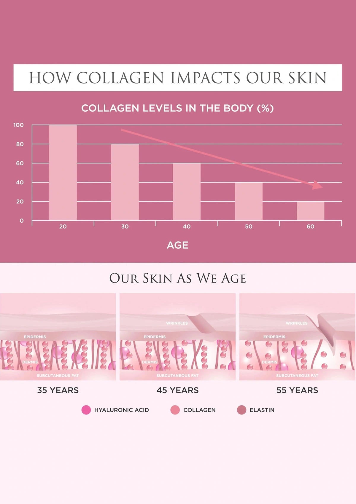 Chart showing collagen levels in the body over age with visual representation of skin aging.