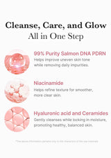 An informational graphic with the headline 'Cleanse, Care, and Glow All in One Step' on a white background. Three circular pink ingredient illustrations are shown with text describing benefits: 99% purity salmon DNA PDRN, niacinamide, and hyaluronic acid and ceramides.