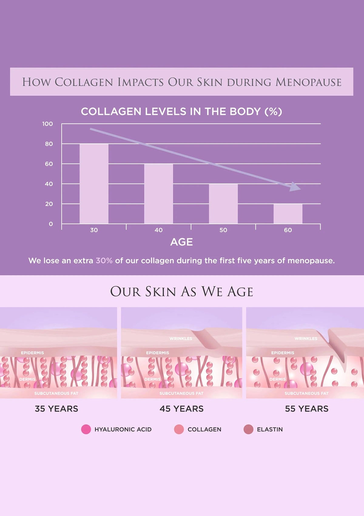 Chart and illustration showing collagen levels in the body and changes in skin with age during menopause.