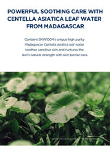 Centella asiatica leaves with text about skincare benefits