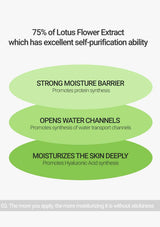 Diagram of Lotus Flower Extract benefits on a white background