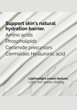 Text detailing skin care ingredients and texture on a white background