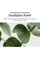 Eucalyptus leaves with text about refreshing and invigorating eucalyptus scent.