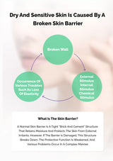Diagram explaining dry and sensitive skin caused by a broken skin barrier with text on a blurred background.