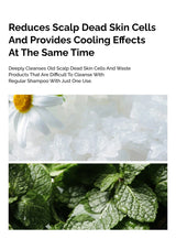 Product advertisement with text about scalp care, featuring a flower and mint leaves.