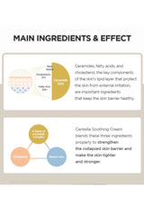 Diagram of skin barrier components and Centella Soothing Cream ingredients on a white background.