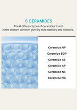 Diagram of ceramides with text explaining their types and functions.