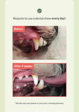 Diagram showing the stages of tartar buildup on teeth with text about dental health.