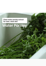 Fresh green water parsley stems and leaves gathered in a white container, with text overlay reading 'Clean water parsley extract for clear, clean skin' and 'Water Parsley'.