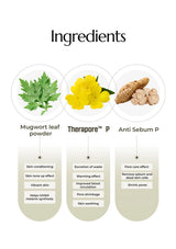 Ingredients list with images and descriptions of Mugwort leaf powder, Therapore P, and Anti Sebum P on a white background.