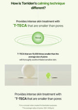 Advertisement for Torriden's calming technique with T-TECA product on a white background