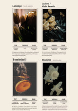 Scents with images and descriptions of lime basil & mandarin, blackberry & bay, wood sage & sea salt, and english pear & freesia.