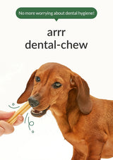 Diagram showing the stages of tartar buildup on teeth with text about dental health.