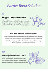 Product packaging for Barrier Boost Solution with text and molecular structure illustration on a light green background.