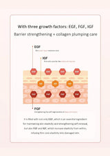 An informational graphic with text and a skin-layer diagram explaining the role of EGF, FGF, and IGF in barrier strengthening and collagen plumping care.