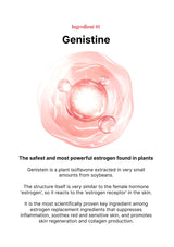 Illustration of a plant cell with text about Genistine, a plant estrogen found in soybeans.
