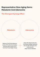 Diagram showing the synergy effect between Melatonin and Adenosine on skin health.