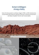 Desert landscape with text about Ectoin and its properties.
