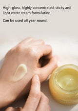 highly concentrated sticky and light water cream fomulation