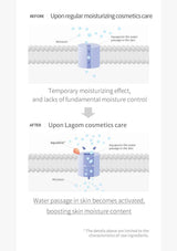 Diagram showing the difference between regular moisturizing cosmetics care and Lagom cosmetics care on skin hydration.