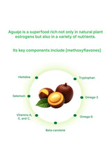 Illustration of aguaje fruits with nutritional components labeled on a white background.