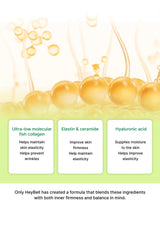 Product packaging with fish collagen, elastin, ceramide, and hyaluronic acid labeled on a light green background.