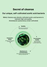 Diagram of acetic acid bacteria with text about BBelly Cleanse's self-cultivated acetic acid bacteria on a light green background.