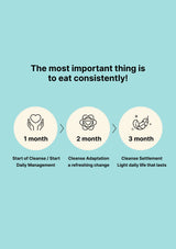 Diagram showing the stages of a cleanse program with icons and text on a light blue background.