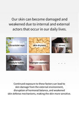 Text explaining skin damage due to various factors with corresponding images of ultraviolet rays, dry skin, stress, lifestyle habits, and improper cosmetics.