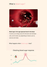 Educational graphic about blood sugar with a diagram and text on a beige background