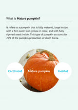 Image of a mature pumpkin with text explaining what it is and its characteristics.