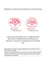 Diagram showing reduction in visceral and subcutaneous fat with text about a study involving 39 adults.