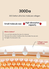 Diagram of collagen cream membrane with 300Da ultra-low molecule collagen and its properties.